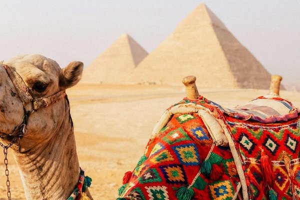 白非洲旅游产品展